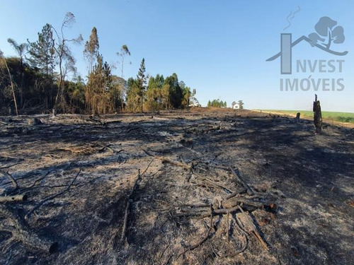 Imagem 1 de 5 de Cod 6172 - Terreno Na Cidade De Ibiúna. A Apenas 65 Km De S - 6172