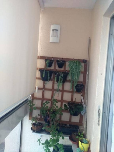 Apartamento Com 1 Dormitório À Venda, 52 M² Por R$ 235.000,00 - Vila Camargos - Guarulhos/sp - Ap0897