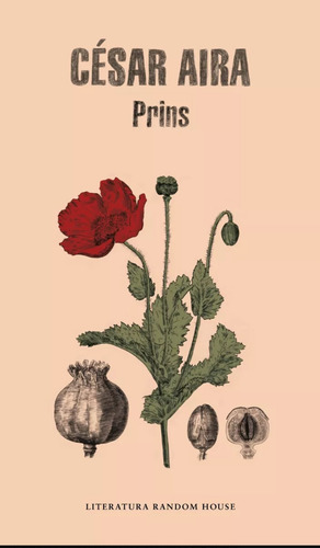 Prins Cesar Aira