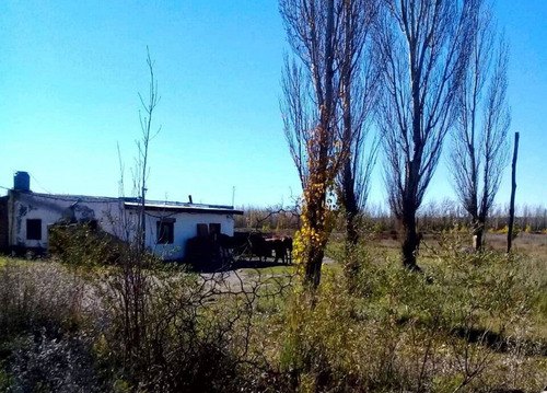 Imagen 14 de 14 de Chacra De 25 Hectáreas En 25 De Mayo - La Pampa