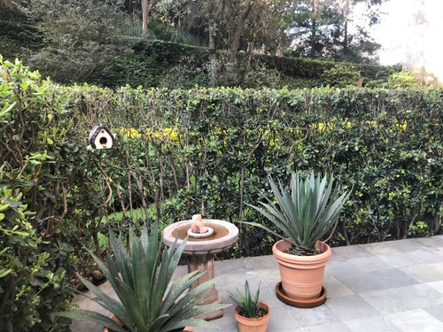 Imagen 7 de 30 de Excelente Garden House Lomas Country