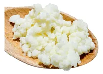 Comprar Nódulos De Kefir Frescos - Envío Rápido+ Guía De Preparación