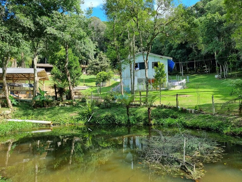 Imagem 12 de 30 de Linda Chacará Com Mais De 36.000 M², Situada Na Cidade De Quitandinha, Paraná. - Ch00019 - 70570203
