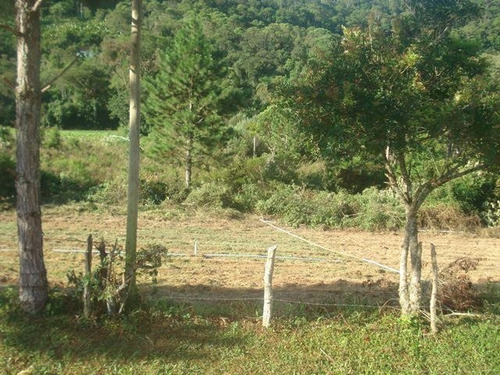 Imagem 11 de 15 de Sítio Em Ibiúna - 145.200m2 | 31497 - 31497