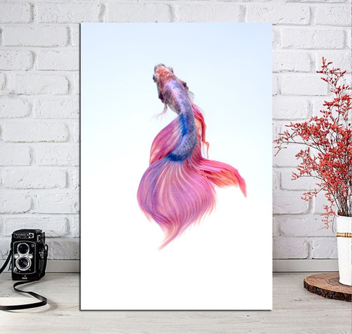 Vinilo Decorativo 30x45cm Pez Betta Pink Rosa Fauna M2