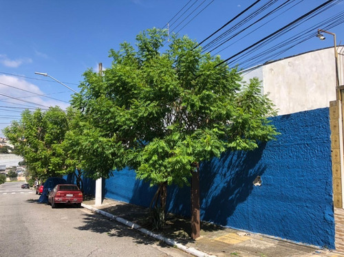 Imagem 9 de 12 de Galpao - Vila Re - Ref: 1458 - L-1458