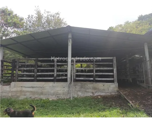 Finca En Venta En Viota Vía A La Mesa 13 Hectareas