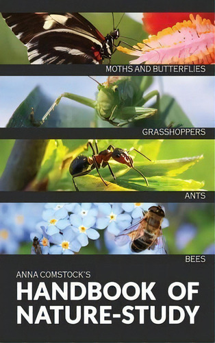 The Handbook Of Nature Study In Color - Insects, De Anna B Comstock. Editorial Living Book Press, Tapa Dura En Inglés