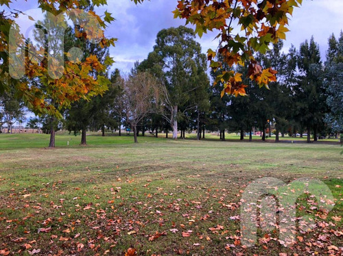 Imagen 10 de 10 de Venta Terreno - Club Miralagos