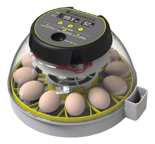 Incubadora Huevos Digital 12 Huevos Volteador Automático Lcd