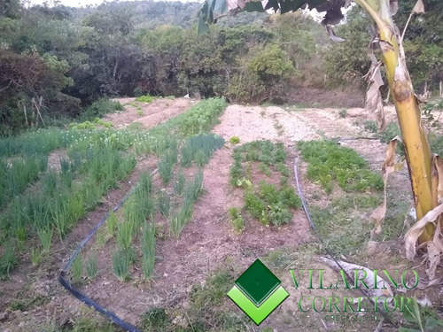 Sítios Fazendas E Terrenos Em Bom Jesus Do Amparo - 2801