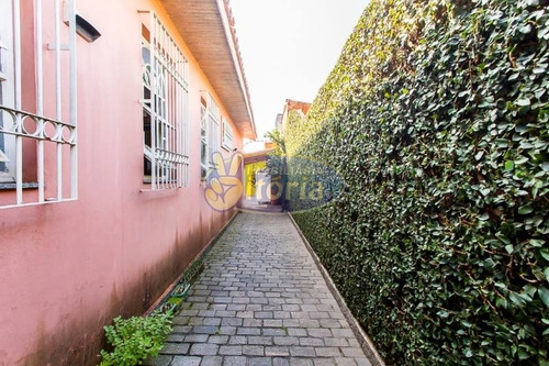 Imagem 12 de 21 de Terreno Para Venda No Bairro Assunção, 742 M - 10245