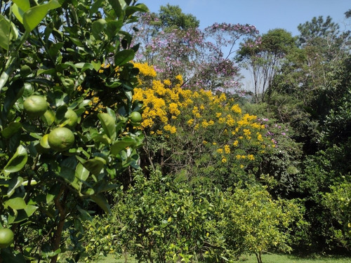 Chácara Bairro Tatetos São Bernardo Do Campo