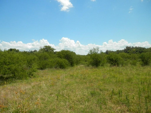 Estancia Isla Vizcaino 1569ha Ganadero Agricola Rio Negro Y Rio Uruguay