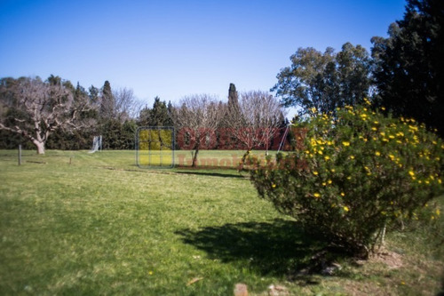 Imagen 22 de 25 de Cañuelas-casa Quinta En Venta