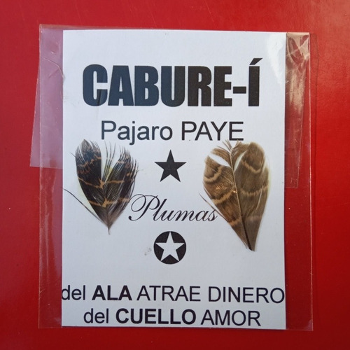 Amuleto Pluma De Cabure -i Amuleto Para El Dinero Y Amor