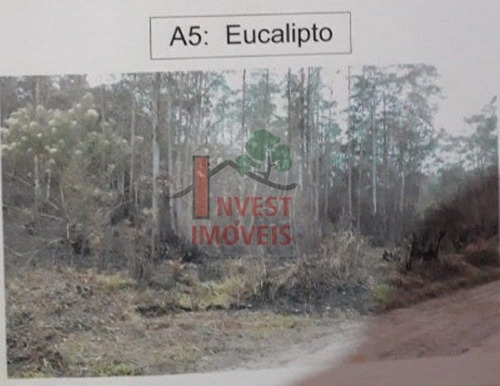 Imagem 4 de 6 de Area - Ref: 3457 - V-3457