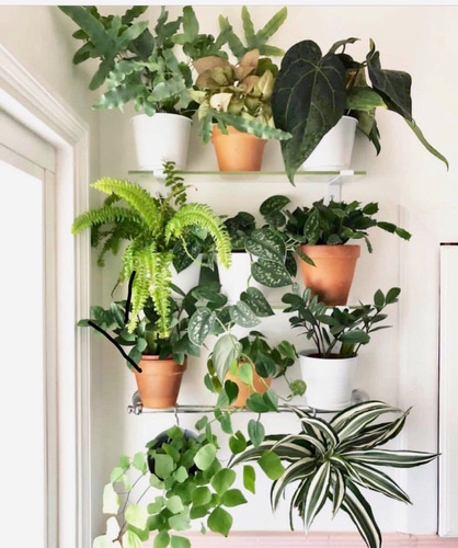 Decora Tu Biblioteca Con Verde! 6 Macetas Blancas Y Plantas