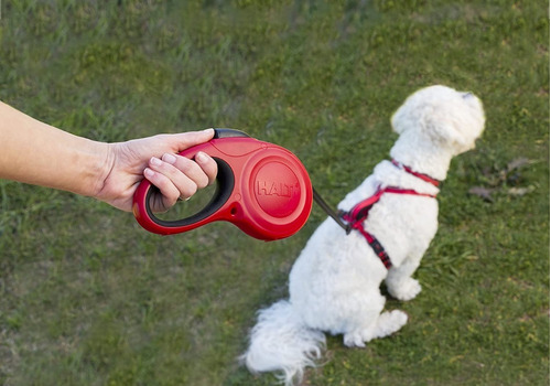 Correa Retractil Halti Large Perro Grande