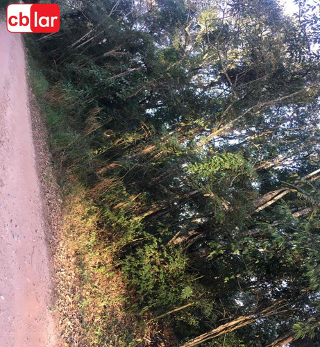 Imagem 3 de 6 de Terreno - Te00139 - 69302878