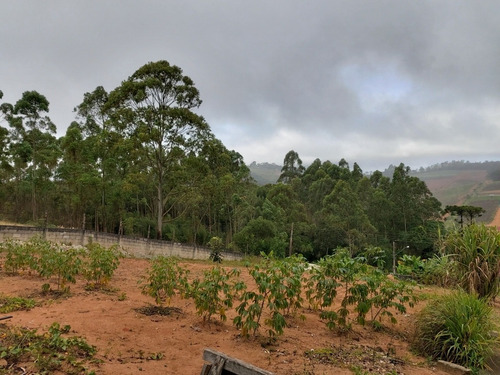 Imagem 21 de 29 de Oportunidade Chacara Biuna 2.000 M Casa,pomar,horta E Murada
