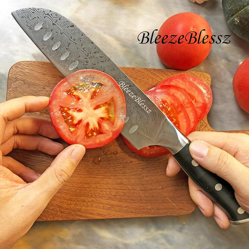 Juego De Cuchillos De Cocina Profesional 5 Piezas Bleezebles