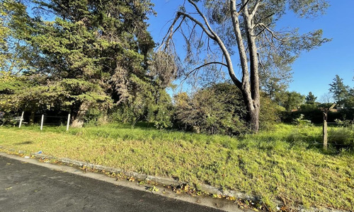 Imagen 5 de 16 de Venta Terreno 607 M2 Gral Pacheco Tigre