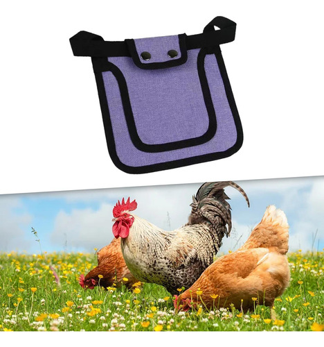 3 Sillas De Montar Para Pollo, Silla De Gallina Violeta