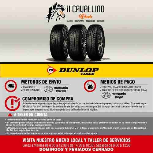 Neumatico Dunlop Direzza Dz102 225 45 R18 95w Cavallino