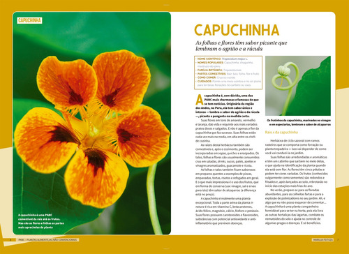 PANC 2 - Plantas Alimentícias Não Convencionais, de Feitoza, Marilua. Editorial Editora Europa, capa mole em português, 2022