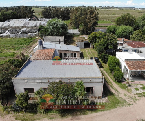 Chacra En Venta 6 Has, Casa 3 Dormitorios, Galpón, Aguadas Canelón Chico