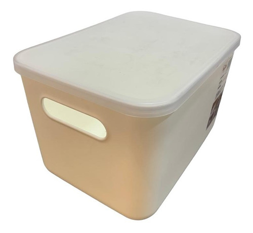 Caja Organizadora Con Tapa Y Manija Small