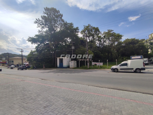 Imagem 2 de 13 de Ótimo Terreno Comercial /residencial No Bairro Velha Central - 3052462v