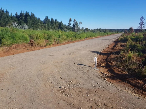 Parcelas En Loteo Hacienda San Ignacio - 25 Min De Chillan
