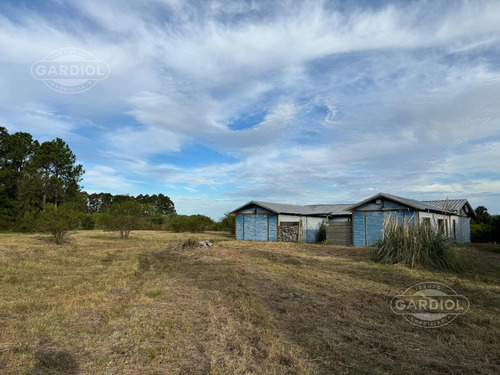 Chacra En Venta En Riachuelo, Colonia