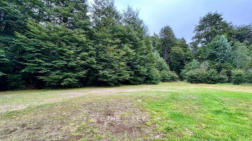 Parcela En Venta En Villarrica Licanray