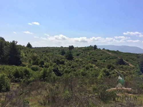 F-190 Valle Alegre, Quintero, 20.000m2