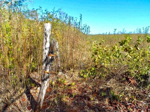 Imagen 5 de 11 de Terreno En Venta 1200 Hectareas Tekax, Yucatán. Ctv16.