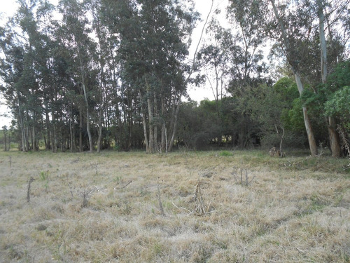 Imagen 4 de 12 de Vendo Linda Chacra Casa A Reciclar, Galpón Y Costa Cañada Cardozo