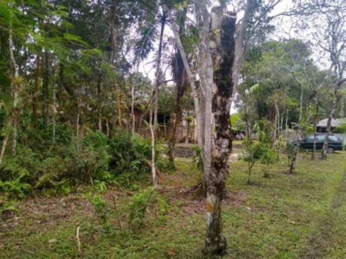 Imagem 10 de 20 de Chácara Em Itanhaém, No Balneário Gaivota, Com 5.085 M² De Área Total E Com Churrasqueira, Árvores E Vaga Para 08 Automóveis Ref: 8855/ac