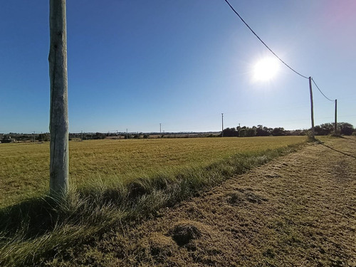 Terrenos En Libertador San Martín - Puiggari
