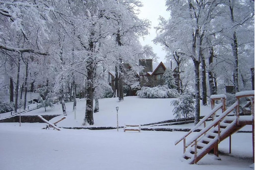 Imagen 2 de 8 de Paihuen San Martin De Los Andes