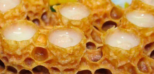 3 Jalea Real 30gr 100% Pura De Yucatán