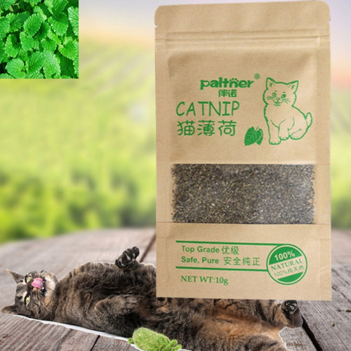 Hierba Menta Catnip Para Gatos 10gr Bolsa Estimulante