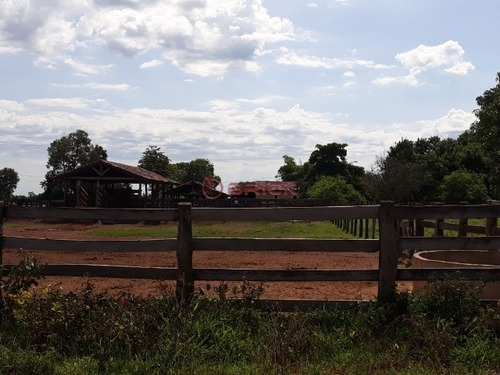 Imagem 8 de 19 de Fazenda Com 2.723 Mil Hectares No Vale Do Araguaia, Região Alvorada/araguaçu,to - Fa00021 - 69448081