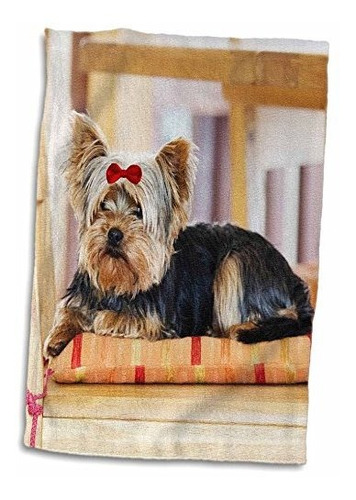 3d Rose Yorkie. Yorkshire Terrier. Lindo Perrito Con Lazo Ro