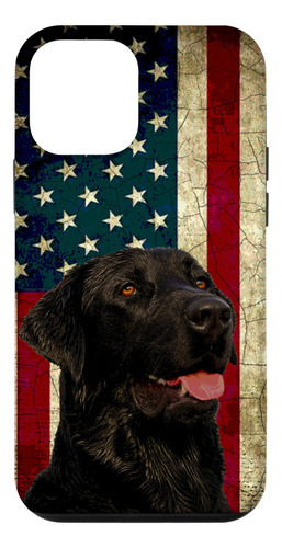 iPhone 12 Mini Usa Black Lab Labrador Retr B08n6gsllm_300324