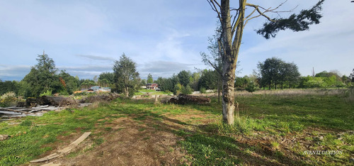 Venta Parcela Robles De Pilauco Osorno (127903)