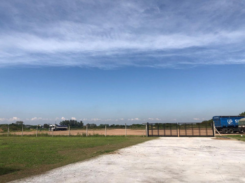 Deposito Alquiler 5000 M2 Cub 2000 M2 Semi Cub Zarate