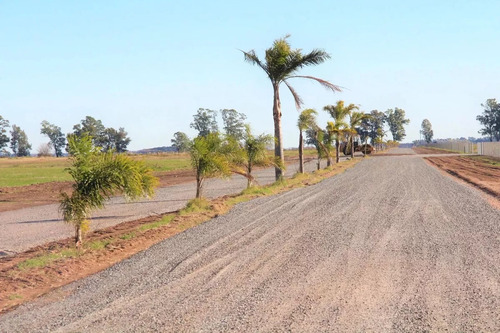 Terreno Lote En Venta Barrio Cerrado Tres Pinos General Rodriguez Financiacion